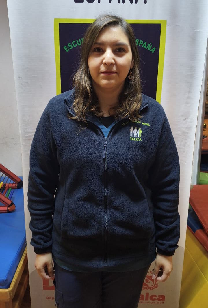 María José Valdés, Docente